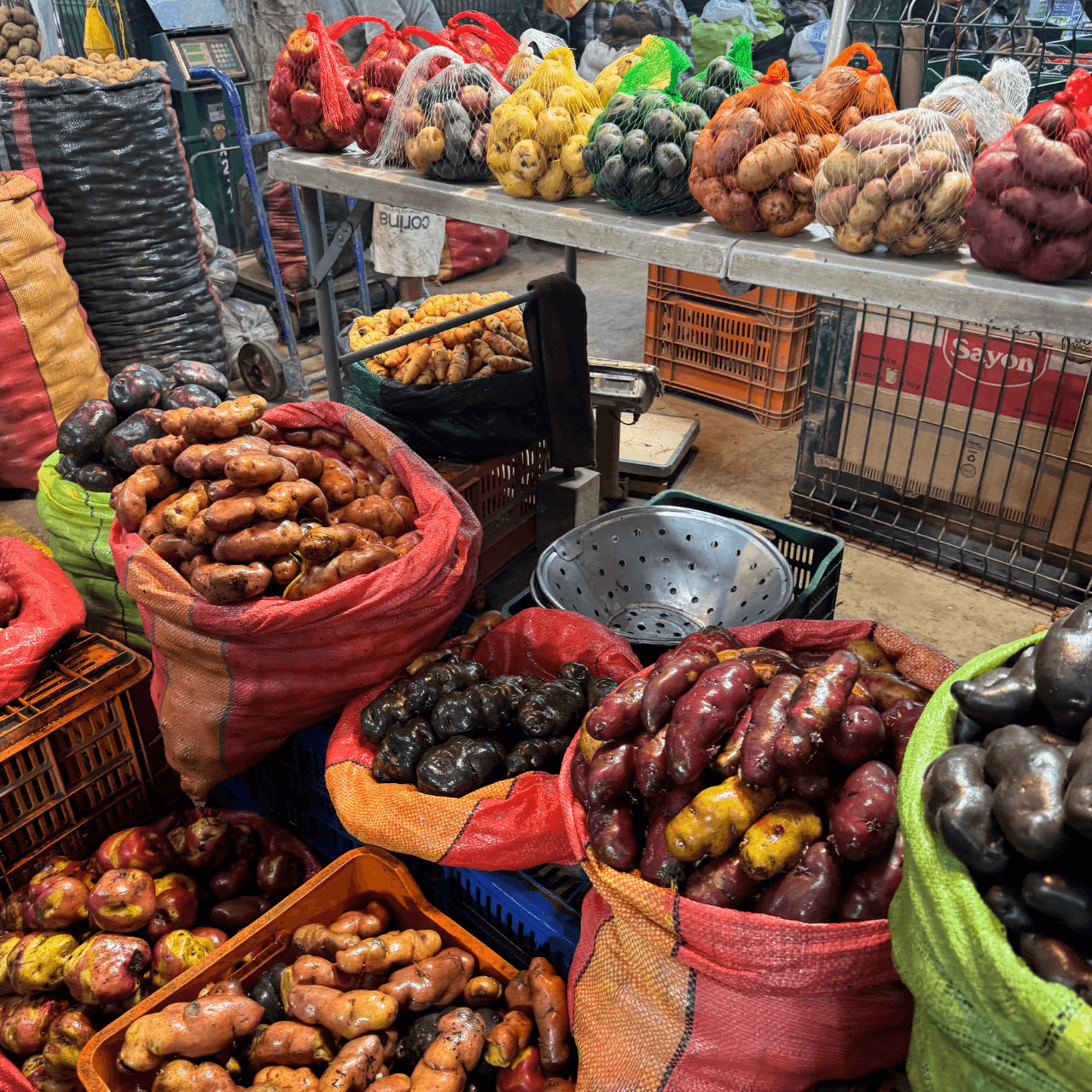Perú Megadiverso